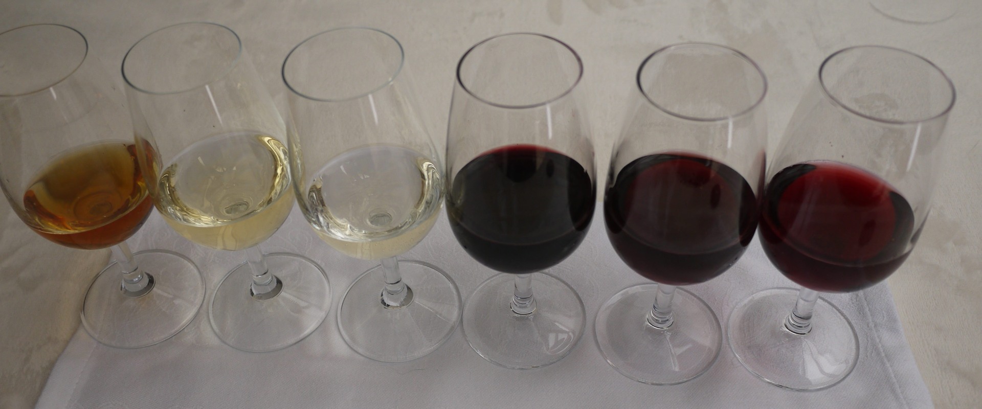 The Ultimate Guide to Wine Tasting: Tips for Beginners