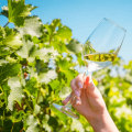 Is Pinot Grigio Sweet or Dry? Mastering Wine Tasting for This Popular Choice