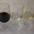 The Ultimate Guide to Wine Tasting: Tips for Beginners