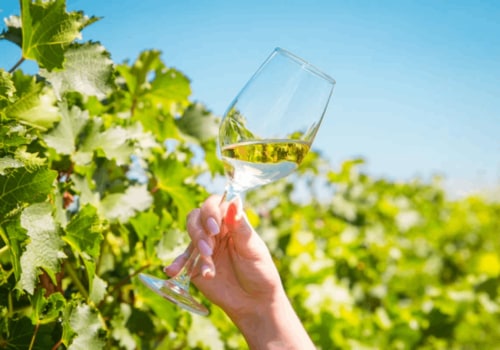 Is Pinot Grigio Sweet or Dry? Mastering Wine Tasting for This Popular Choice