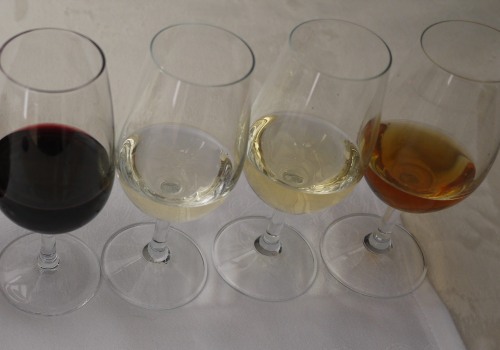 The Ultimate Guide to Wine Tasting: Tips for Beginners